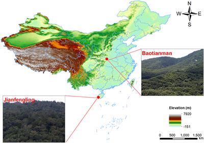 Contrasting Soil Bacterial Community, Diversity, and Function in Two Forests in China